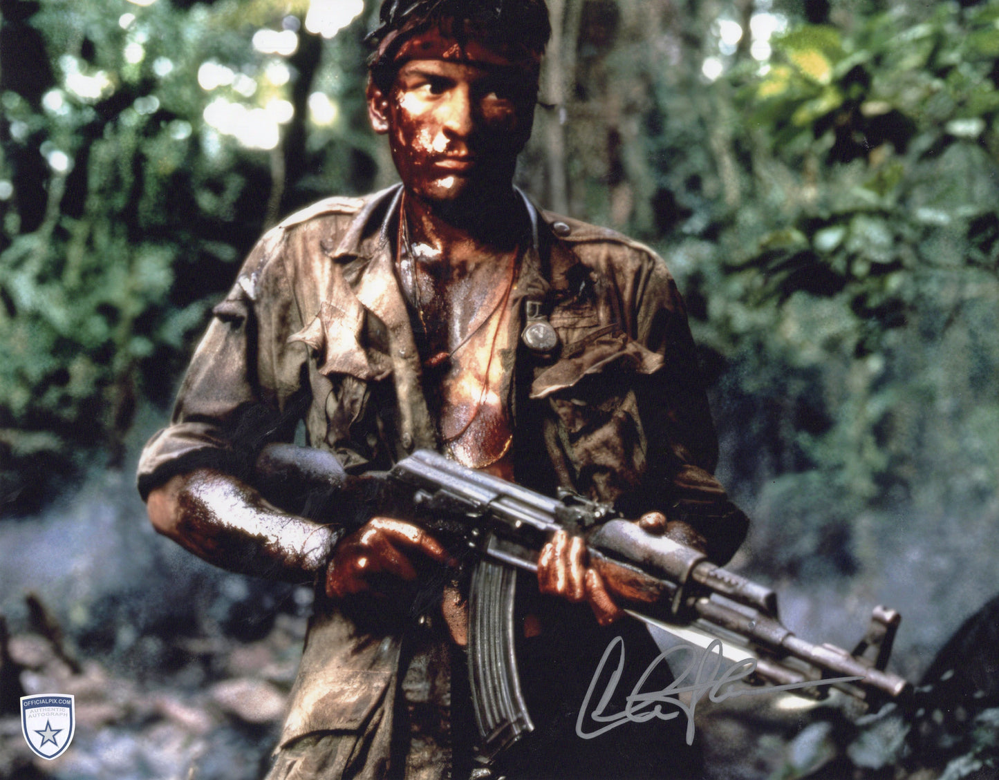 STOCK-CHARLIE-SHEEN-002-11X14