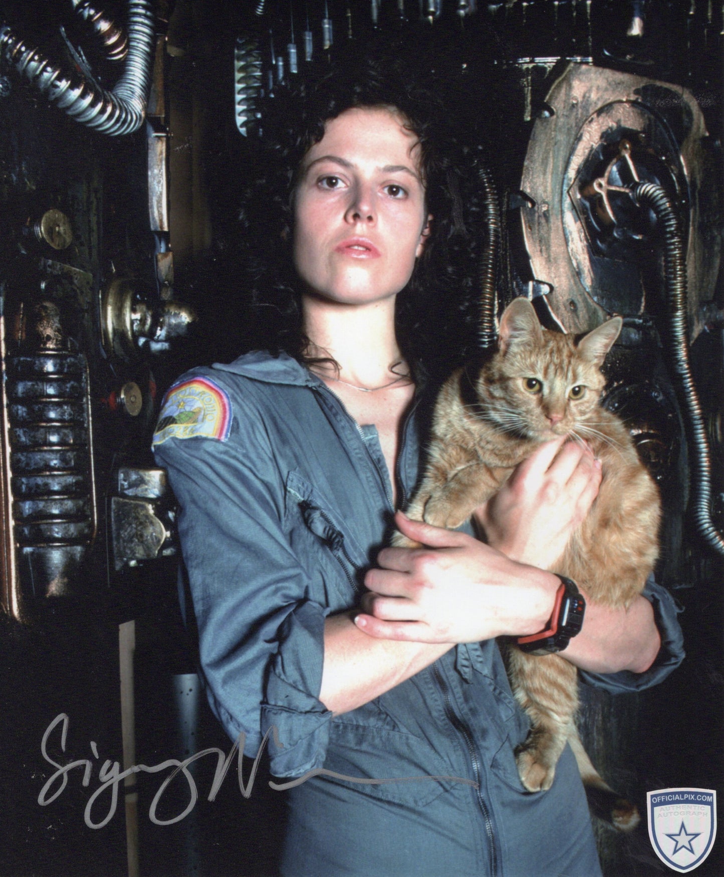 STOCK-SIGORNEY-WEAVER-019-8X10