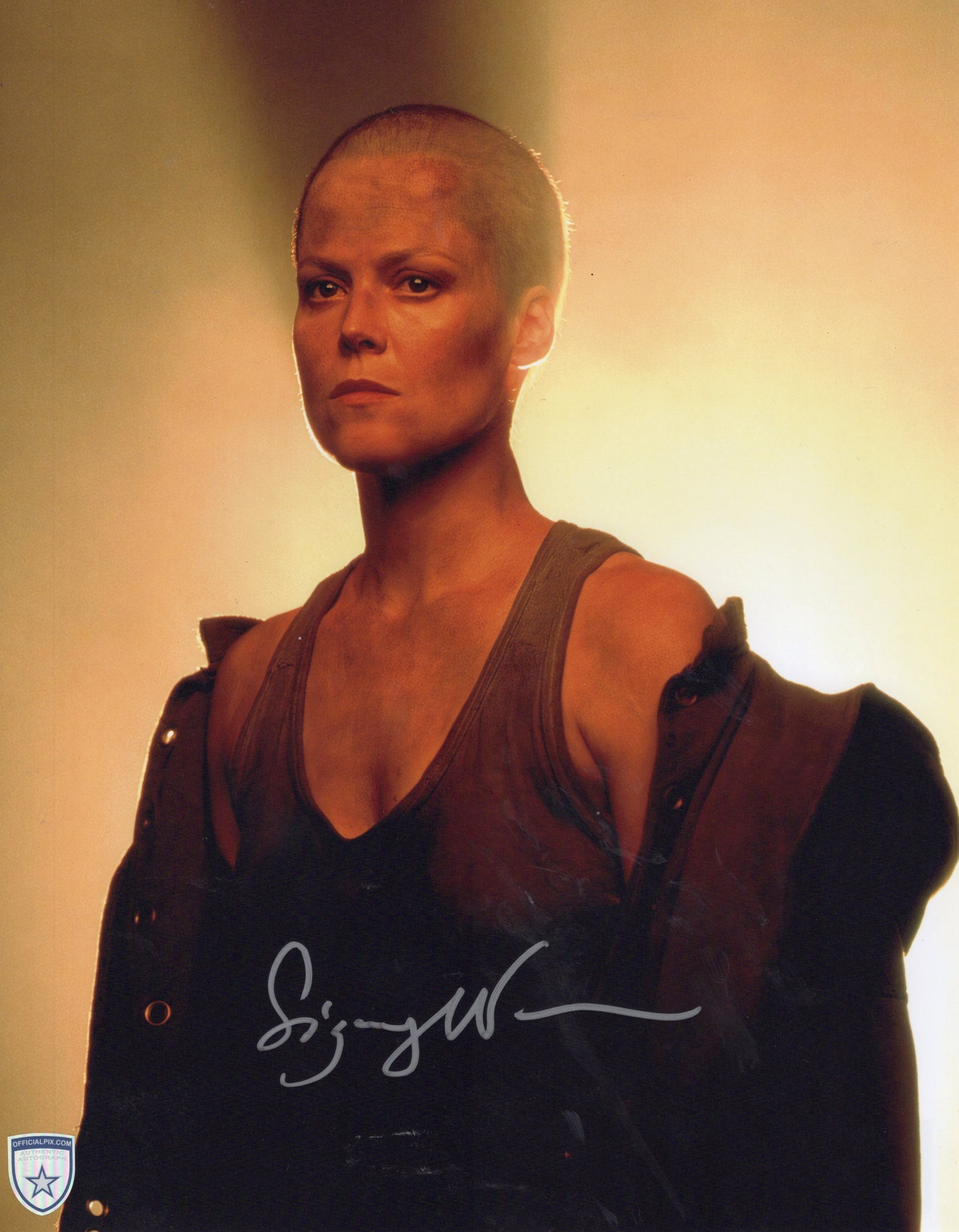 STOCK-SIGOURNEY-WEAVER-019-11X14