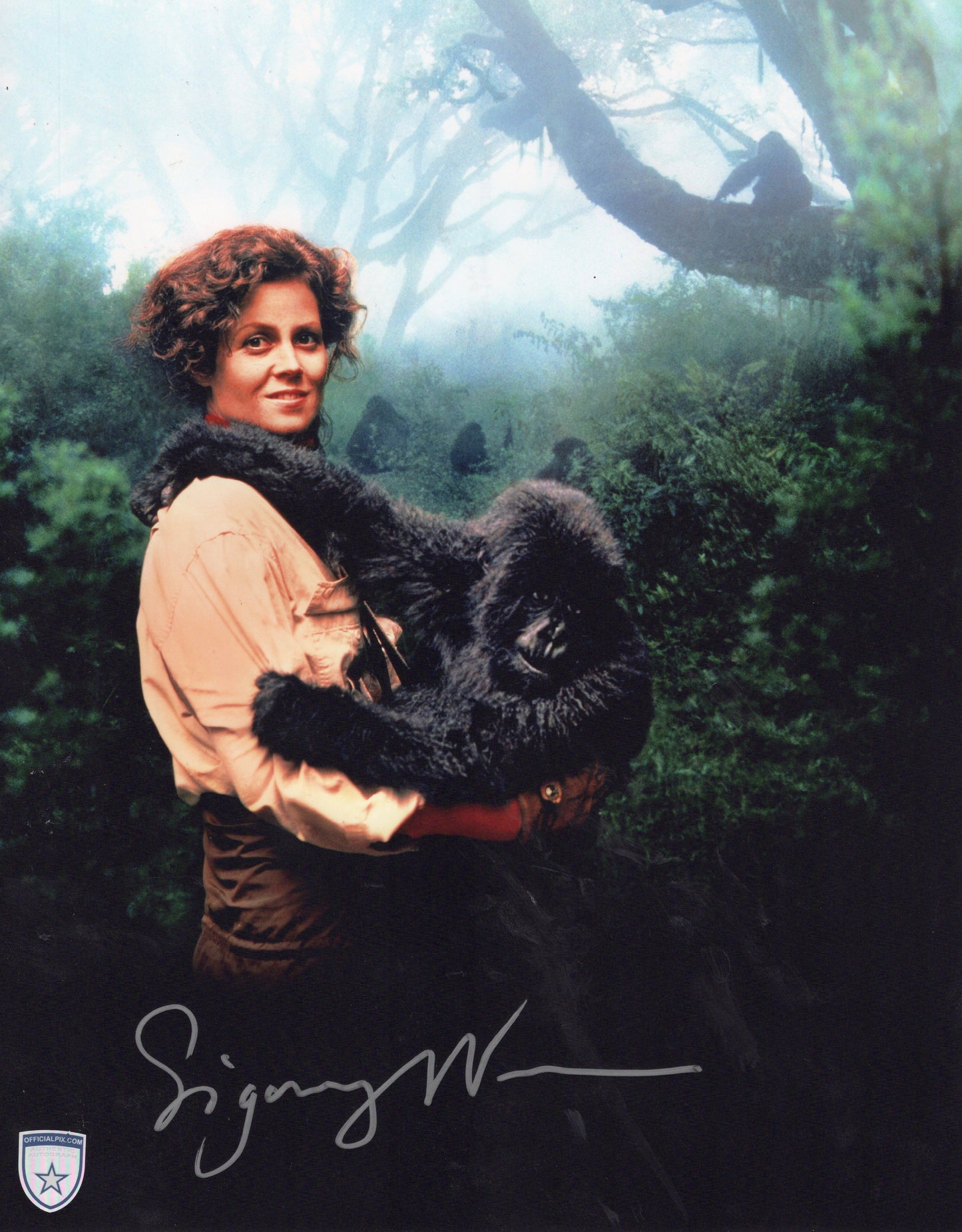 STOCK-SIGOURNEY-WEAVER-021-11X14