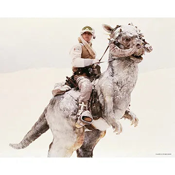 MARK-HAMILL-AUTOGRAPH-PHOTO