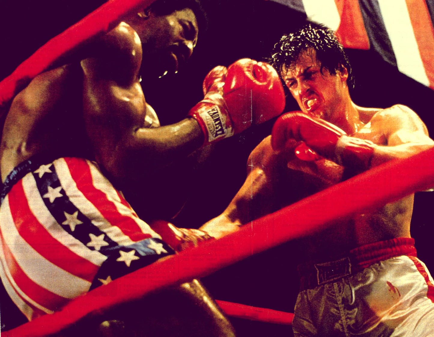 SYLVESTER-STALLONE-AUTOGRAPH-PHOTO